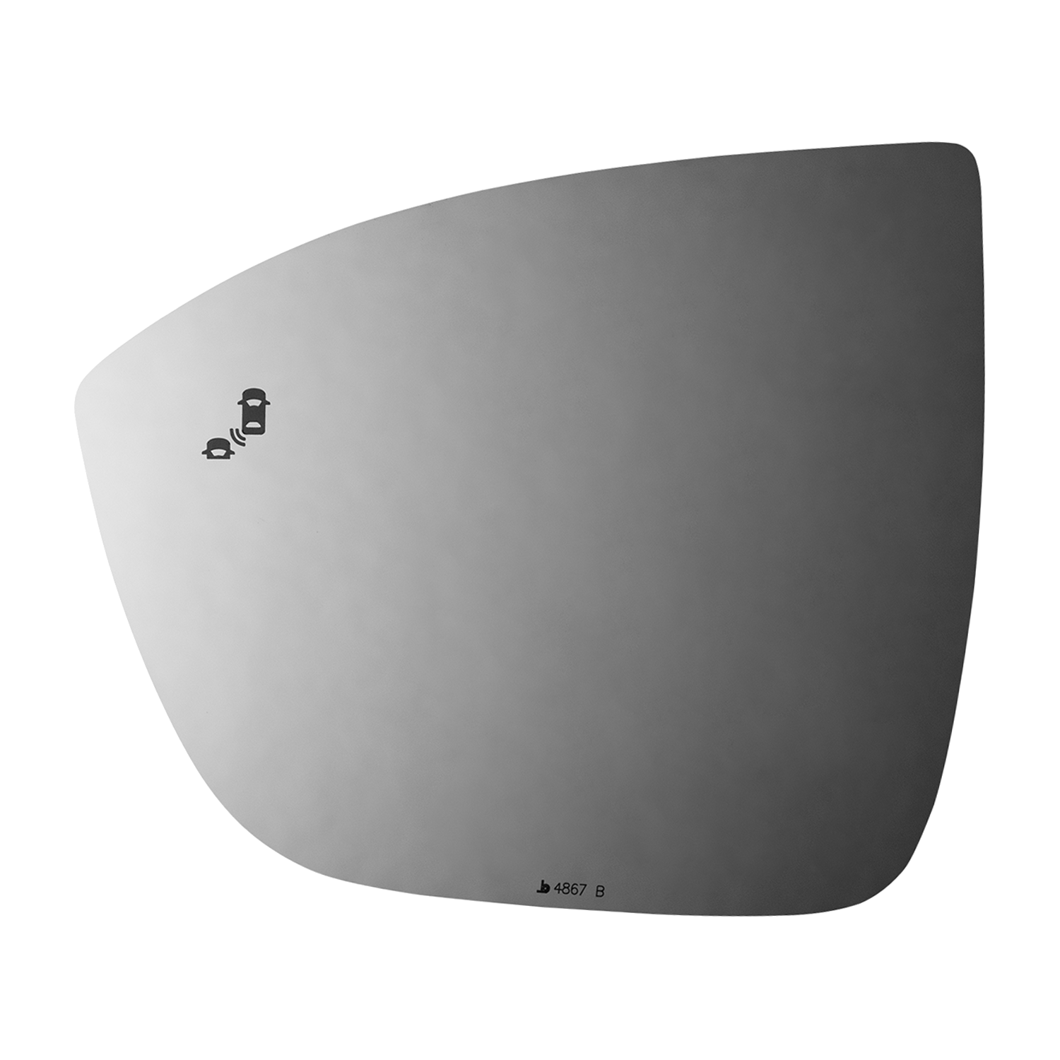 SIDE VIEW MIRROR W BLIND SPOT